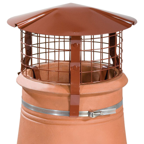 Brewer bird rain guard
