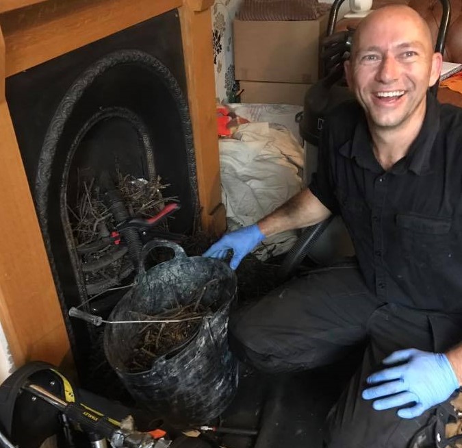 Bird nest removed from a chimney